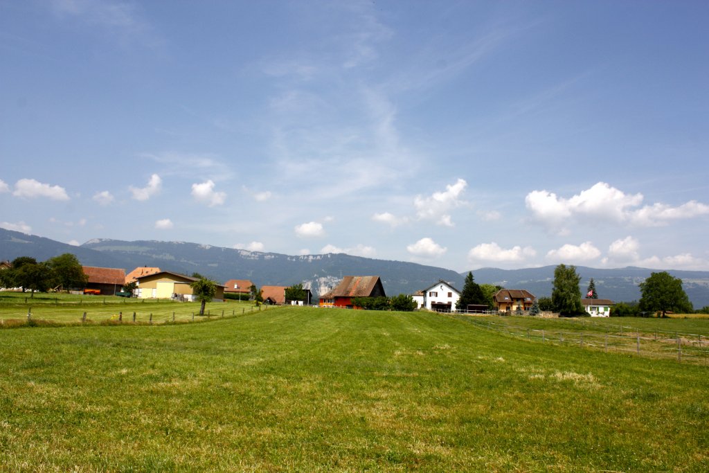 (c) Suscevaz.ch